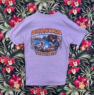 2009 Harley Davidson ZYLSTRA  Elk River MN Size Large